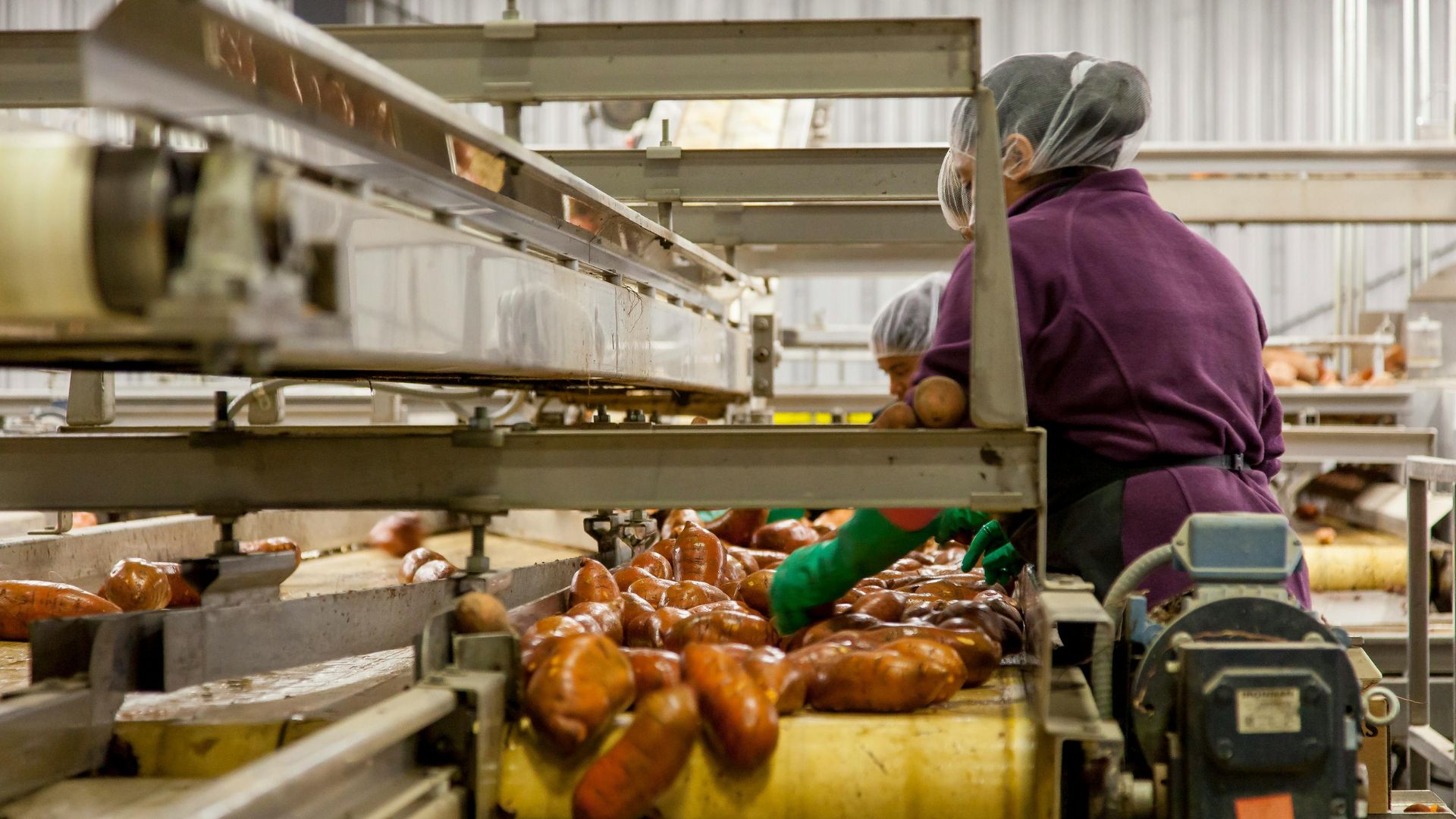 Agro-Processing Lines & Food Packaging