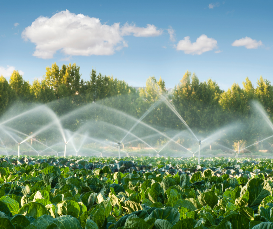 Irrigation & Water Management