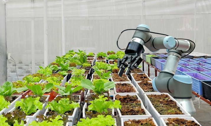 Horticulture & Greenhouse Systems