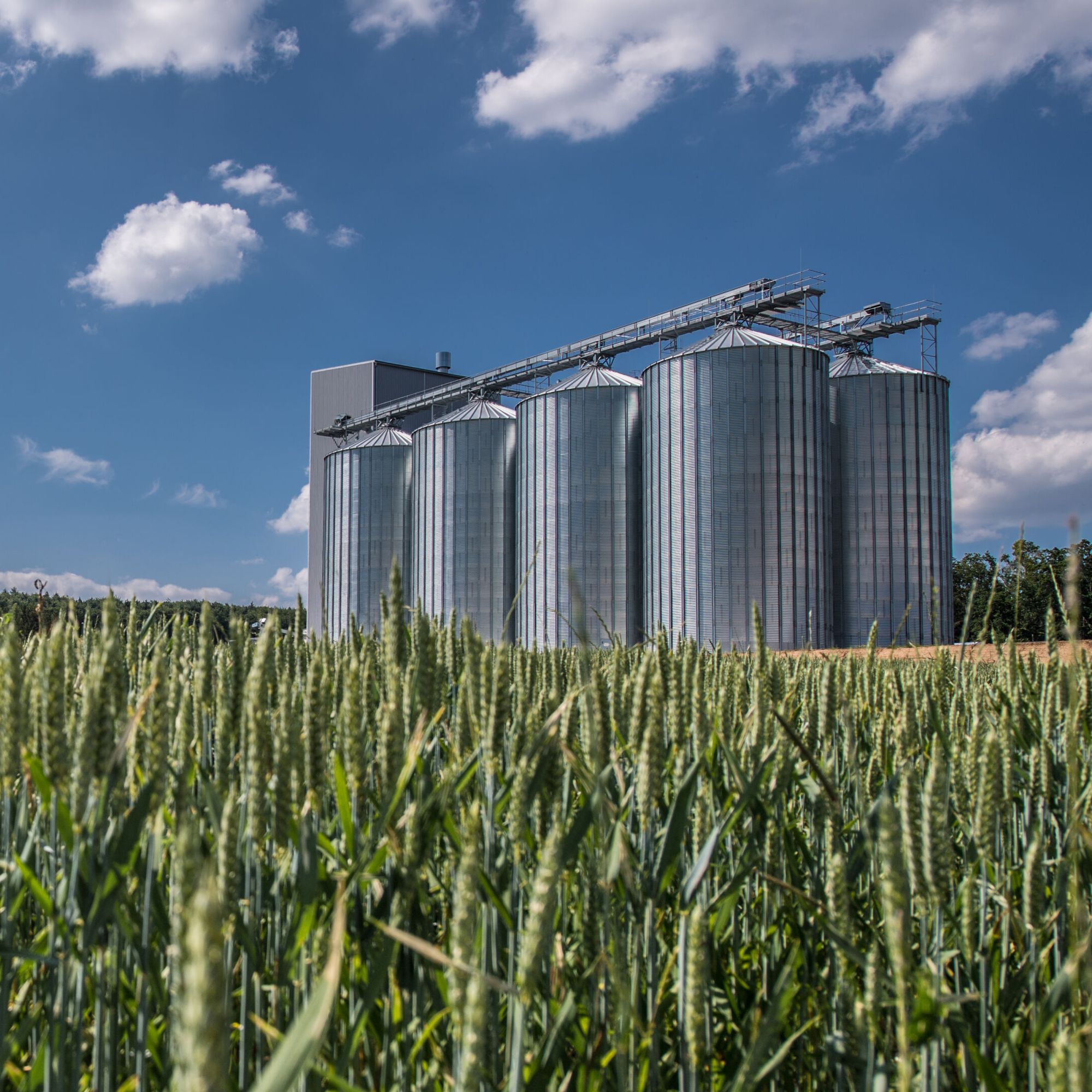 Grain Handling & Storage
