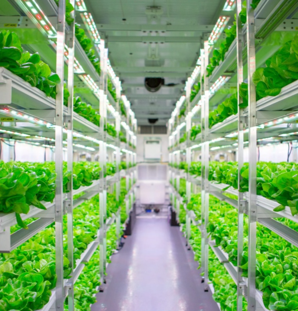 AGG Hydroponic Growing System Container Farm
