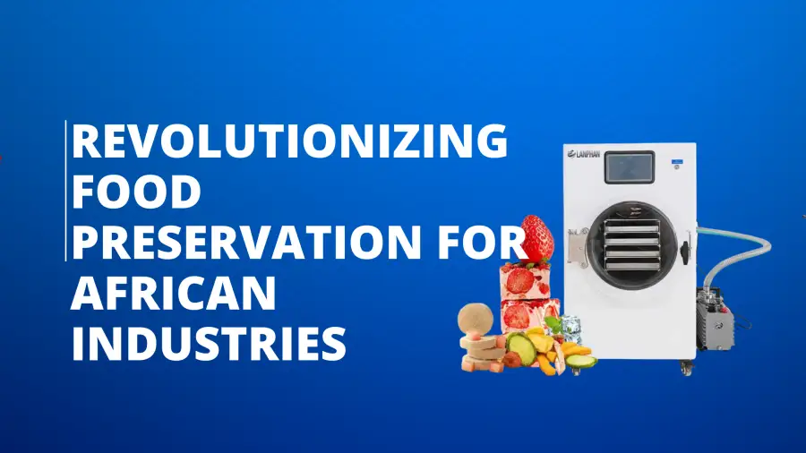 Food Mini Vacuum Dried Home Freeze Dryer: Revolutionizing Food Preservation for African Industries