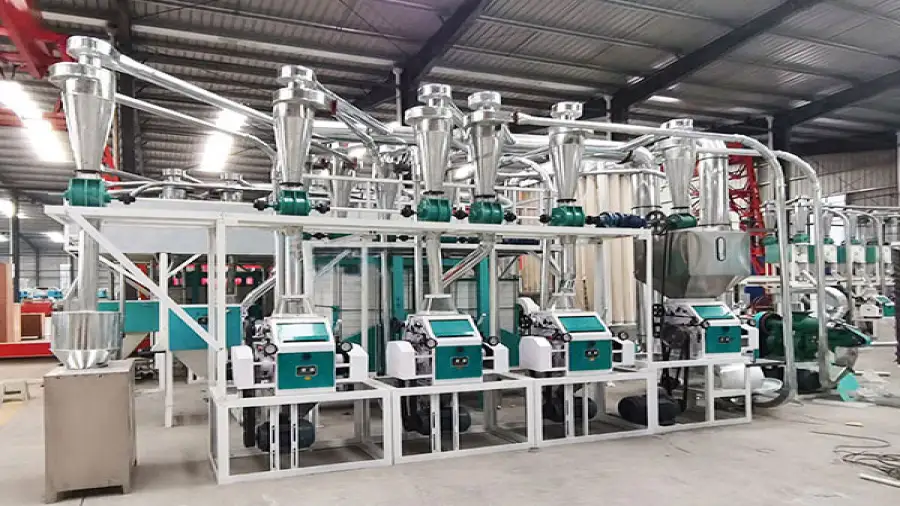 How to Start a Maize Milling Plant: Costs & Equipment