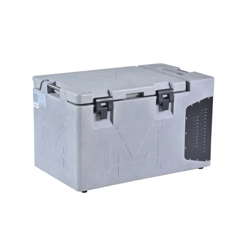 30L Mini Portable Cooling Refrigerator