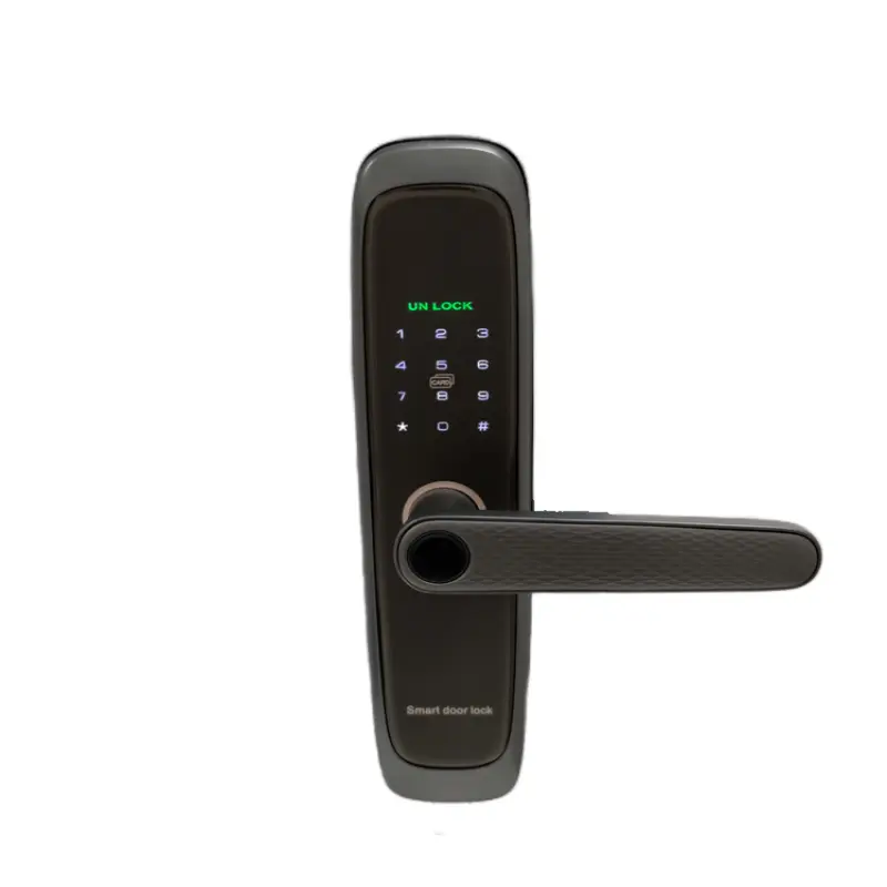 Design apartment electronic Smart Fingerprint Card handle wooden door