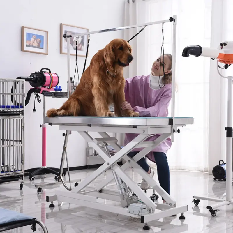 MT Medical Electric lifting pet grooming table dog hairdressing table with LED light veterinary grooming table