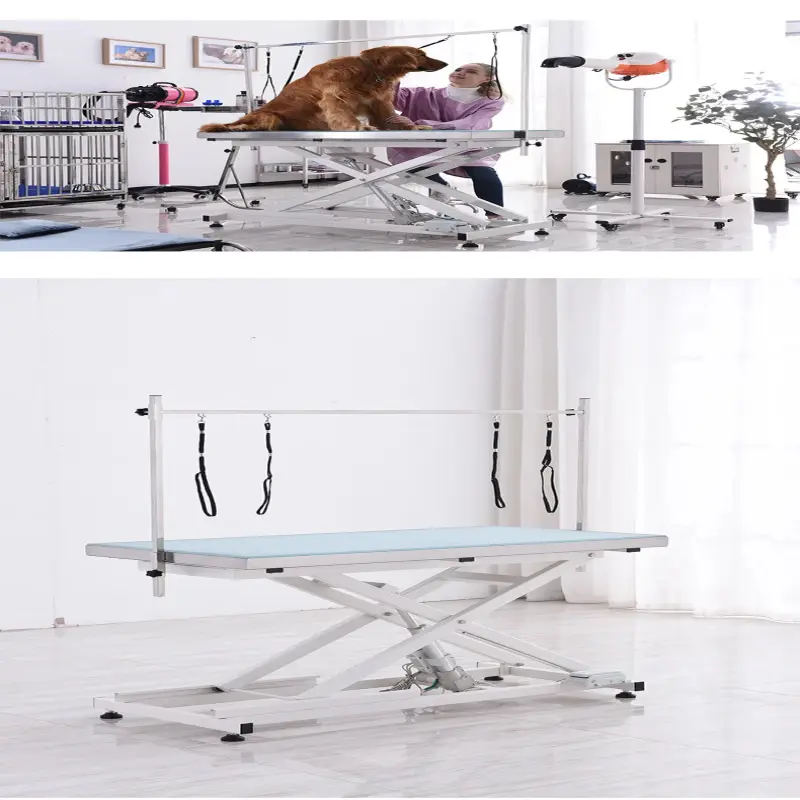 MT Medical Electric lifting pet grooming table dog hairdressing table with LED light veterinary grooming table