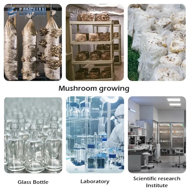 330 liter vertical mushroom autoclave sterilizer industrial sterilization machine