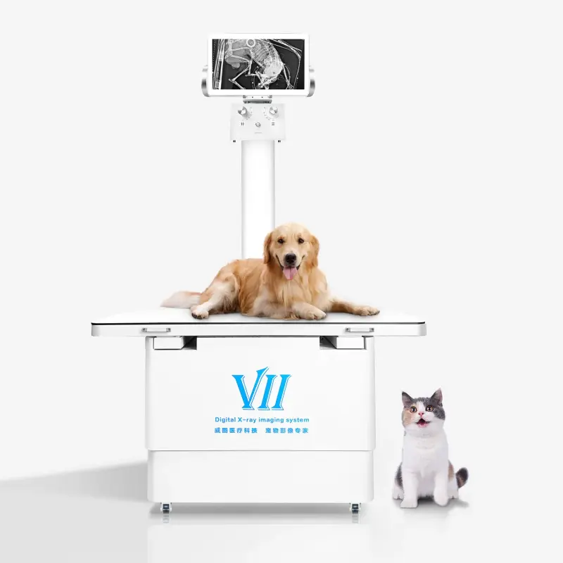 Veterinarians X ray Machine Vet DR system Imaging system Radiography