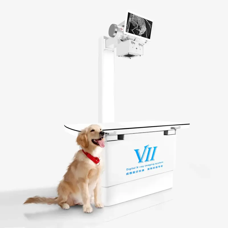 Veterinarians X ray Machine Vet DR system Imaging system Radiography