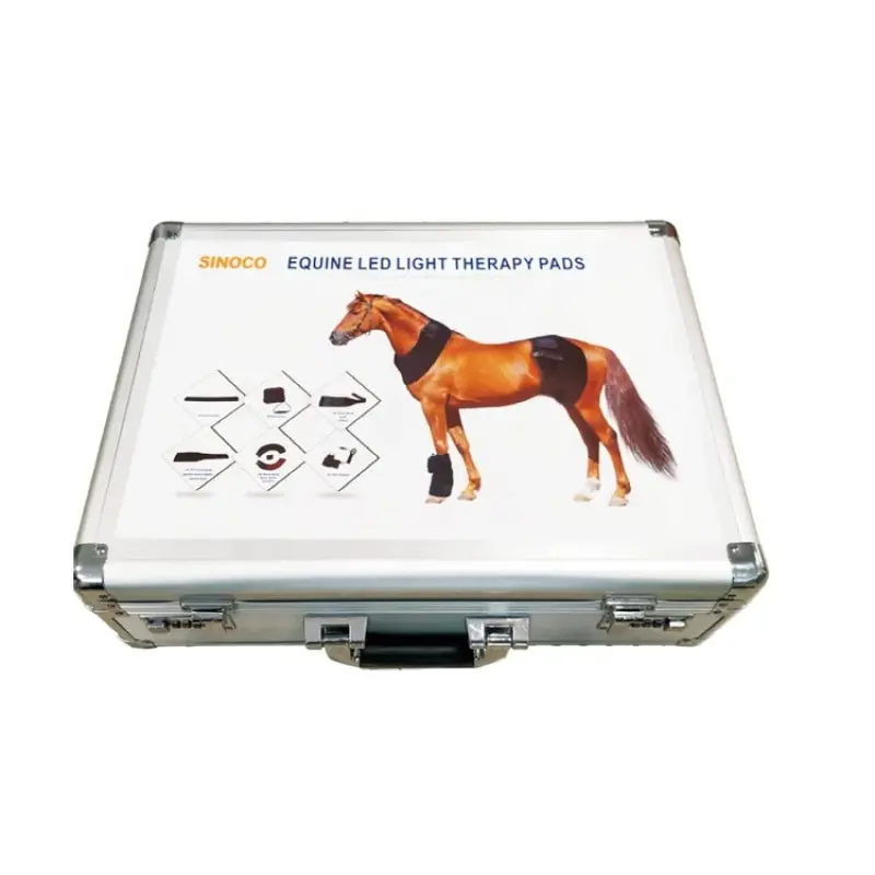 2024 Veterinary equipments