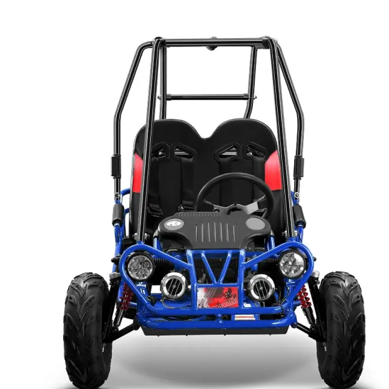 Gas Powered Snow Go-Kart Dune Buggy 200CC Sand Buggy Off-Road Go-Kart Desert Buggy