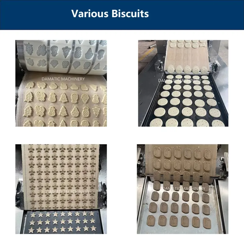 Efficient Biscuit Production Line: Damatic Automatic Cookies Making Machine