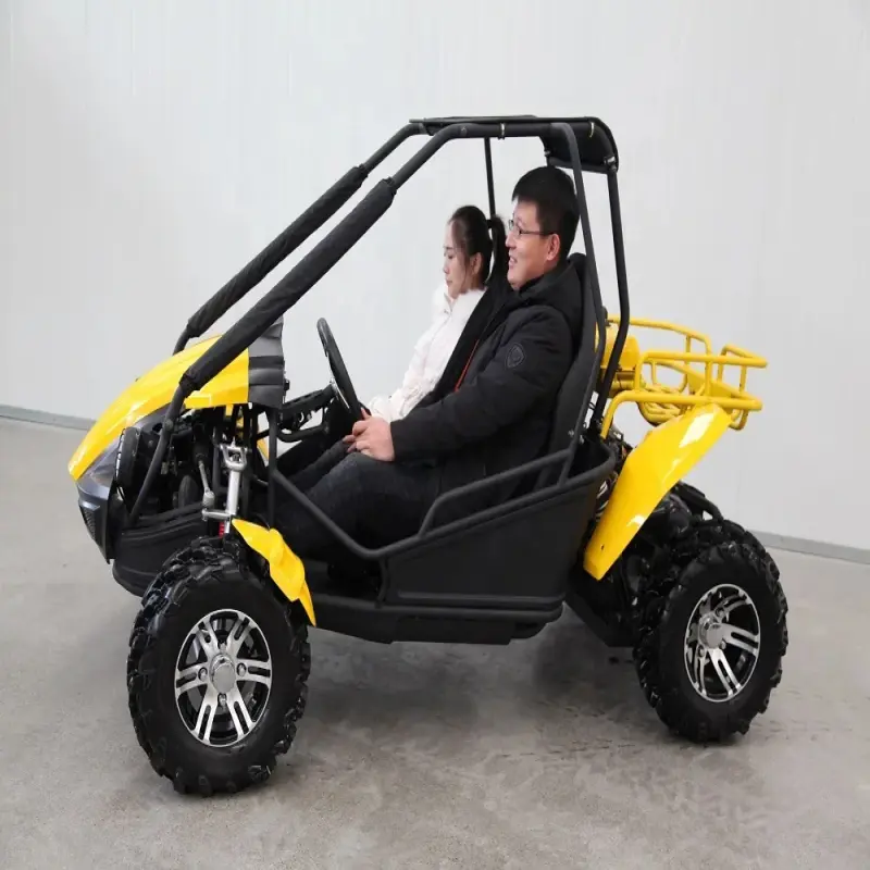 Dune Buggy Adult 250cc UTV 2 Seats Go-Kart with CVT Transmission for Adults