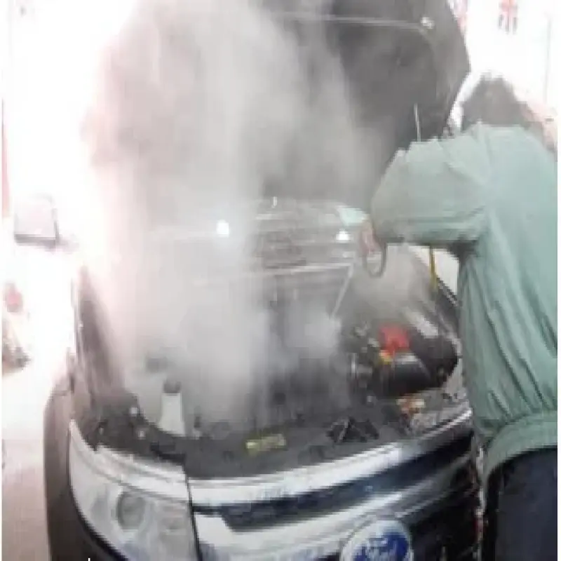 Smart High Pressure Steamer Pro Steam Cleaning Service