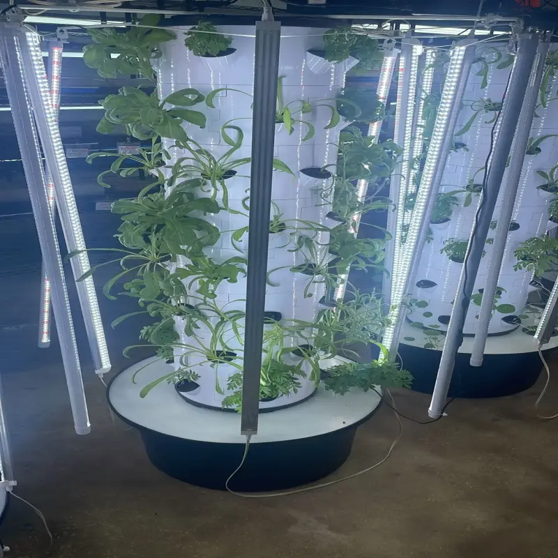smart farming hydroponics system Automatic irrigation home