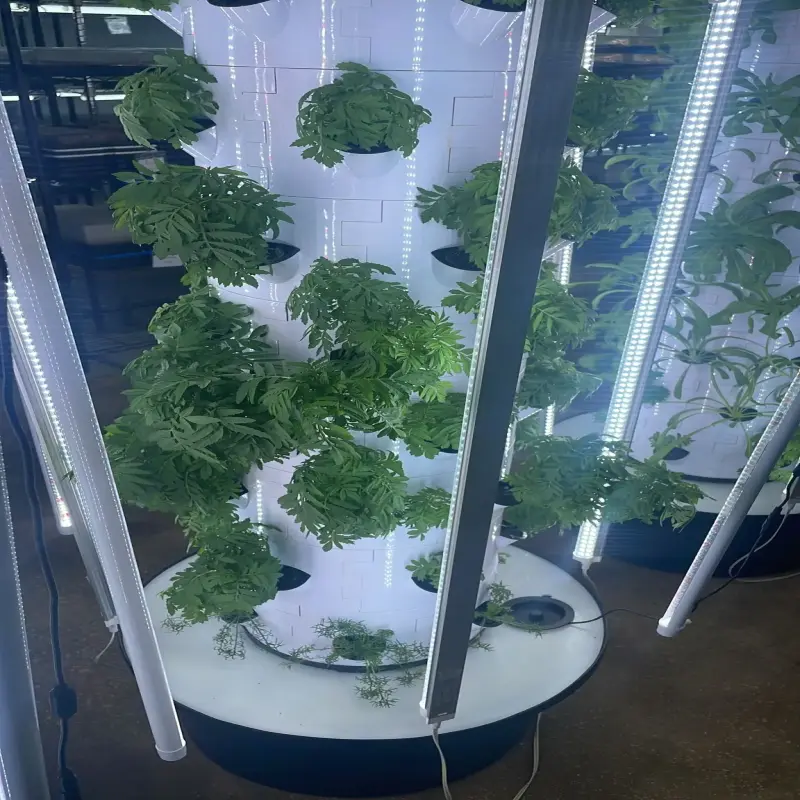 smart farming hydroponics system Automatic irrigation home