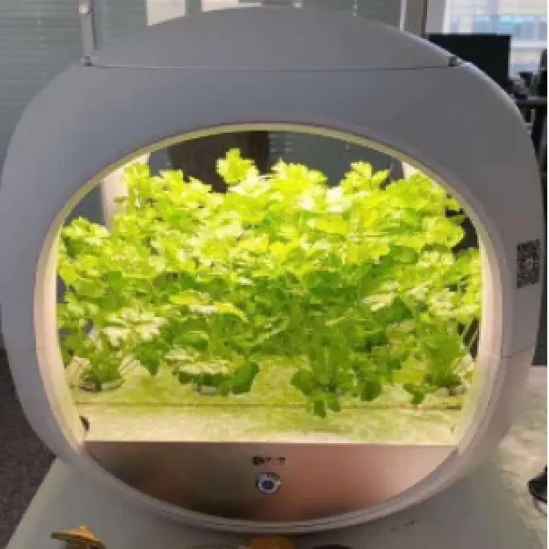Intelligent Hydroponic Growing System Indoor LED Light Grow Vegetalbes