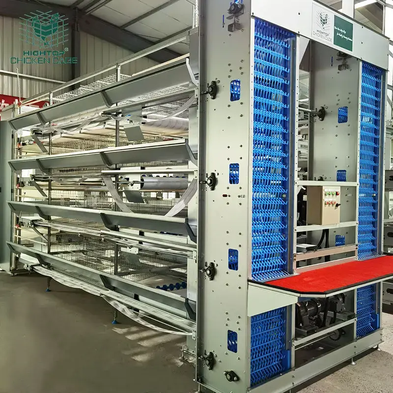 H Type Layer Chicken Cage Automatic Poultry Equipment Battery Cage for Layer Chicken