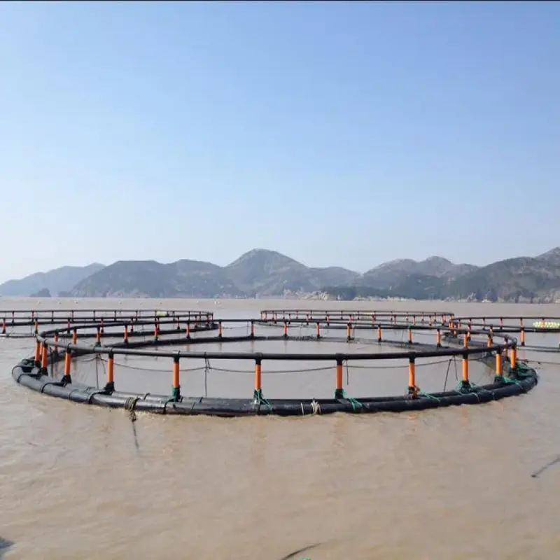 Fish Cages For High Production Capacity Fish Farming