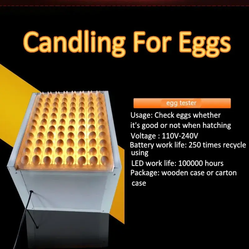 Fertile Egg Tester For Incubator Large Egg Capacity Chicken Egg Tester