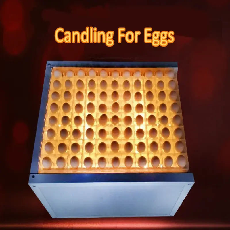 Fertile Egg Tester For Incubator Large Egg Capacity Chicken Egg Tester