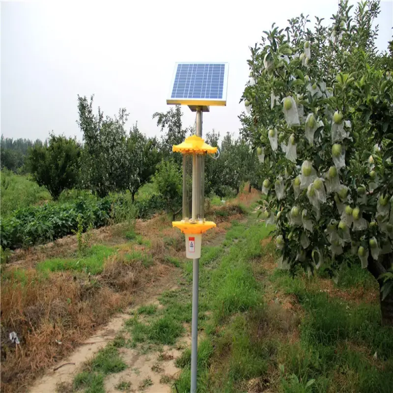 Stainless Steel Mosquito Lamp UV Led Light Farm Use Solar Insecticidal Lamp