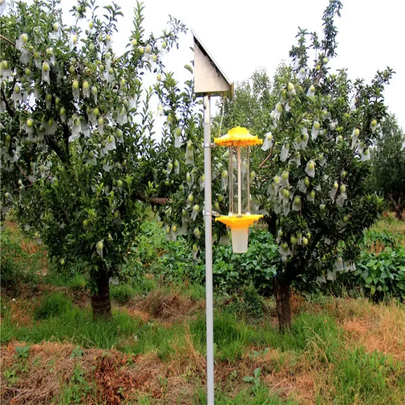 Stainless Steel Mosquito Lamp UV Led Light Farm Use Solar Insecticidal Lamp