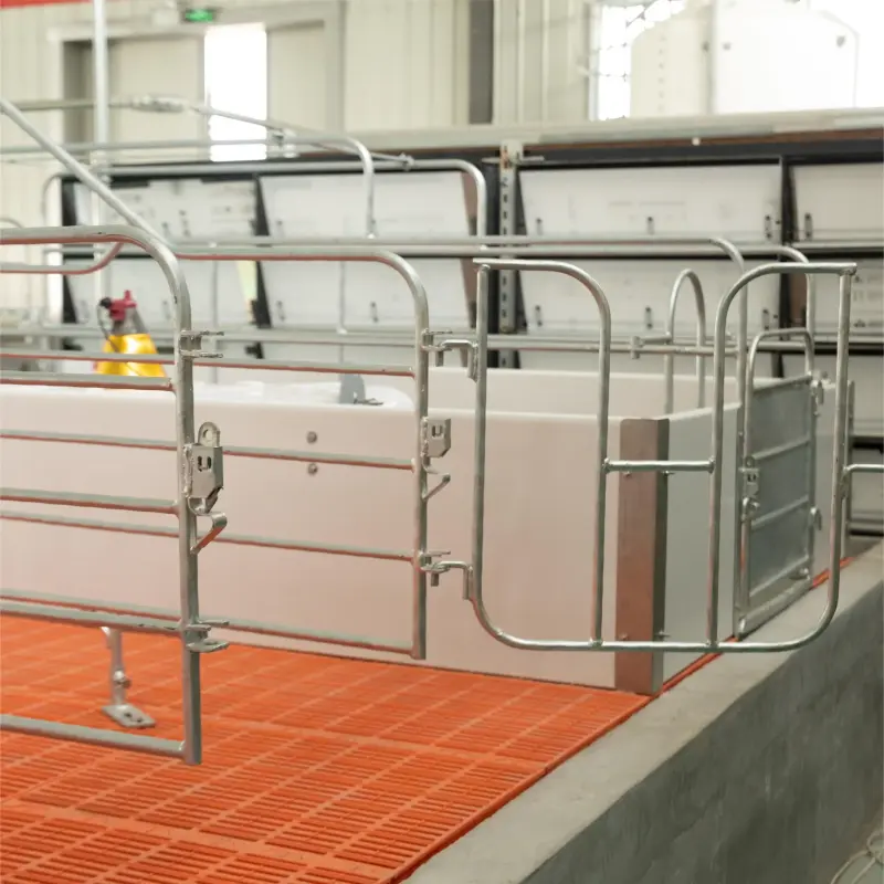 Pig Farming Equipment Swine Sow Farm Galvanized Cage Farrowing Crate For Sale