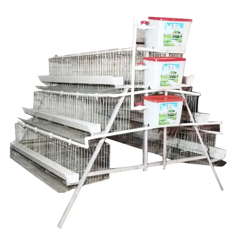 Hot Sale Galvanized  Automatic A Type Chicken Cages Layer Poultry  For Farming Equipment
