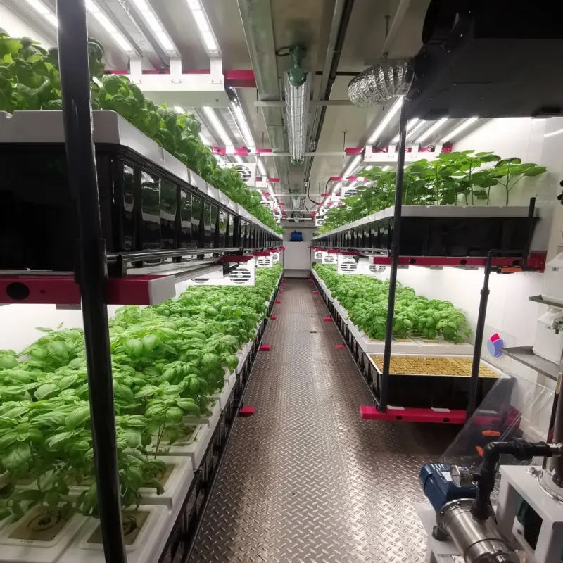 Agriculture Hydroponic System  Container Farm