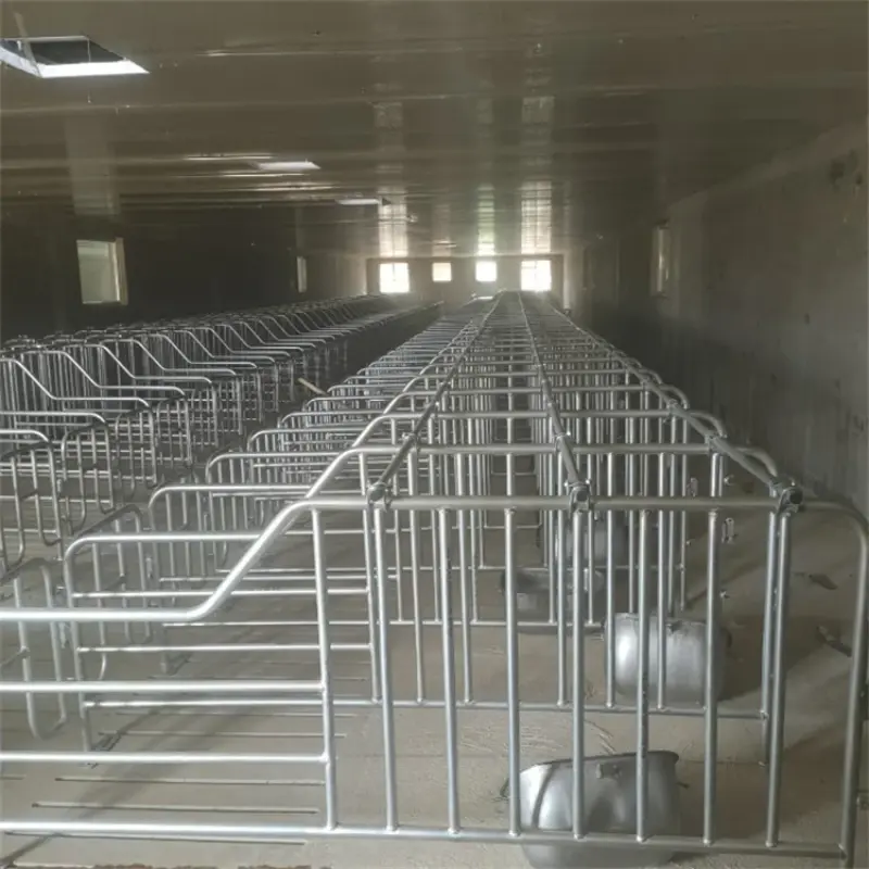 Automatic For Pig Farm Equipment With High Quality Hot Dip Galvanized Designed Pig Farrowing Crate