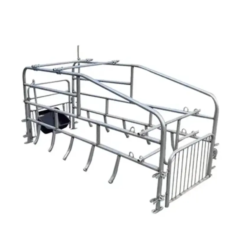 Automatic For Pig Farm Equipment With High Quality Hot Dip Galvanized Designed Pig Farrowing Crate