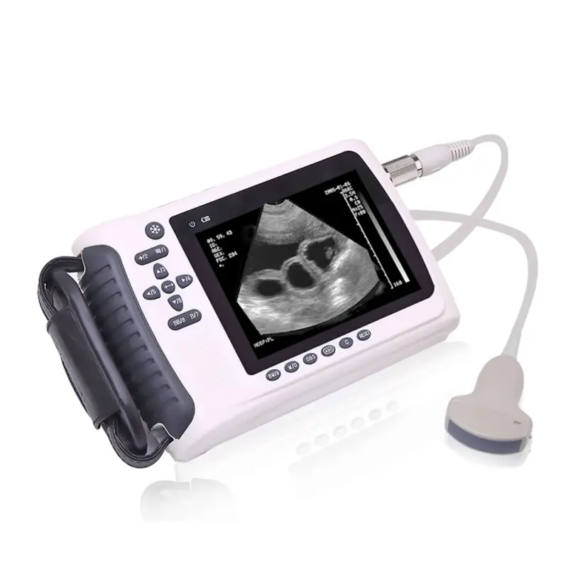 LTVU02 CE portable vet handheld ultrasound USG price for pet