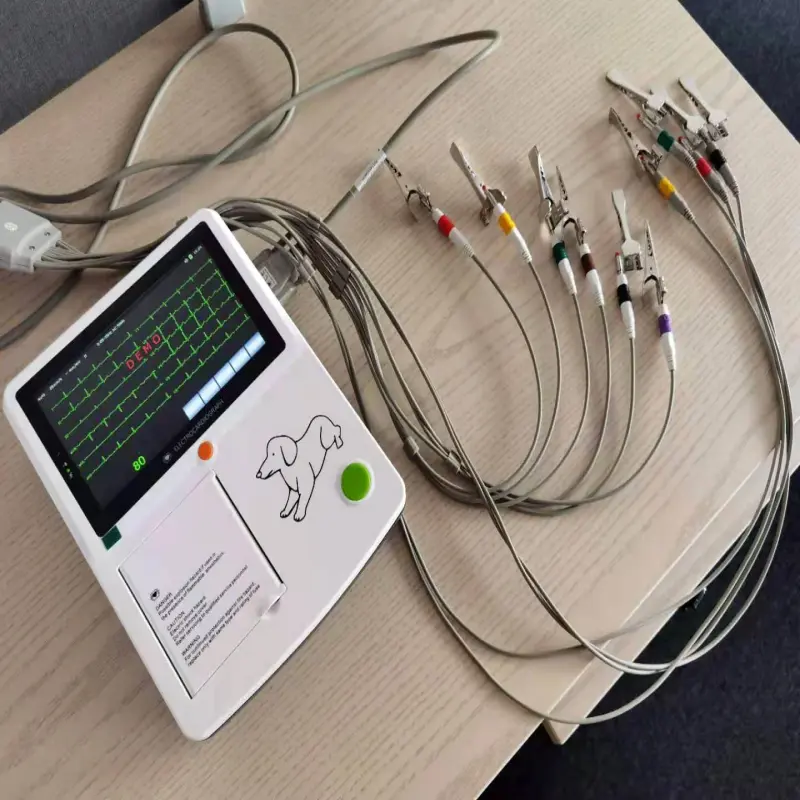 LTSE25V Animal Electrocardiograph Display Multichannel 12 Lead 3 Channel ECG Veterinary Machine Portable ECG Machine