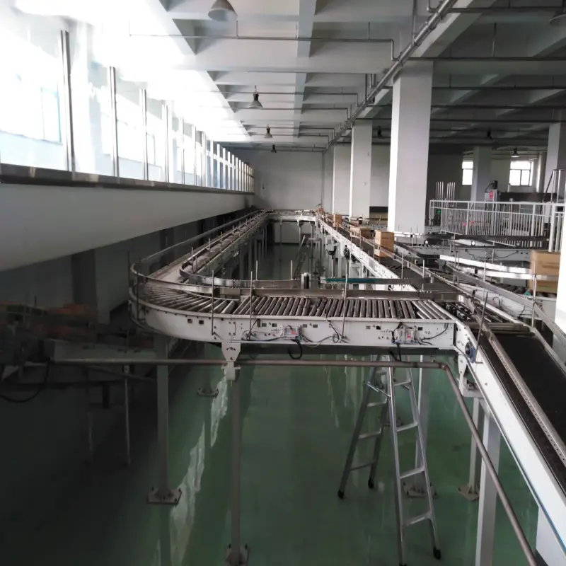 Industrial Pack Case Conveyors Gravity Roller Machinery Without Power