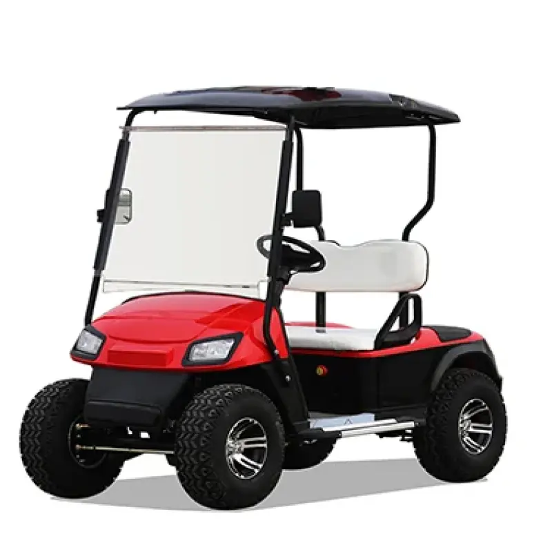 design 2 seater small golf cart custom golf cart two seat