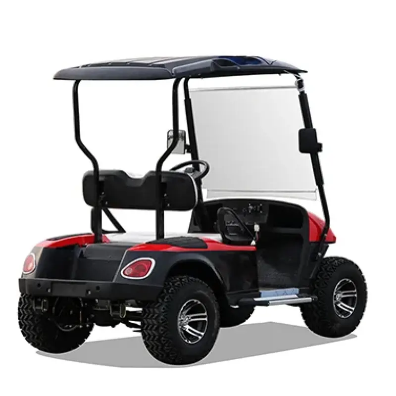 2023 New design 2 seater small golf cart custom golf cart two seat