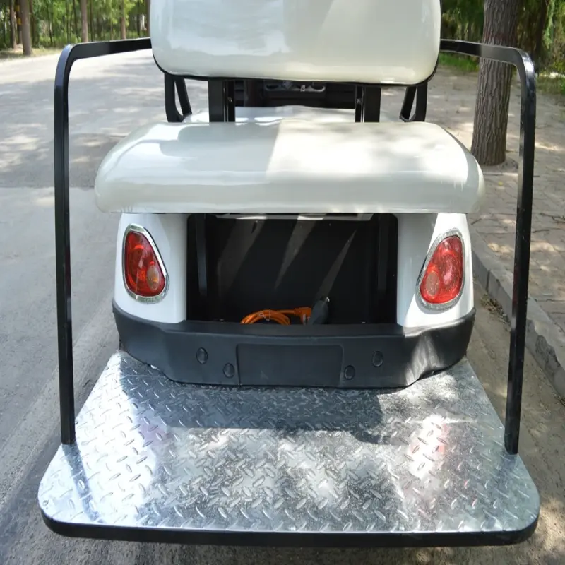 2023 New design 2 seater small golf cart custom golf cart two seat