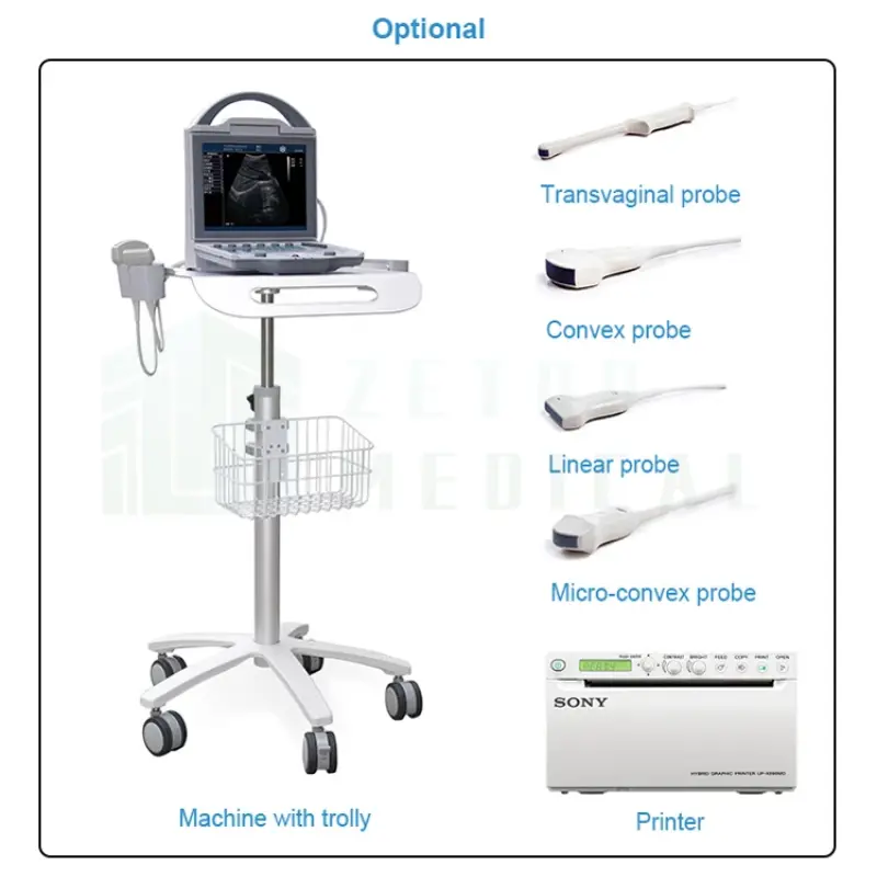 Portable Ultrasound Machine Medical Equipment Gray Scale Ultrasound Vet Ultra Skin Power Supply Hospital Equipment for Sale