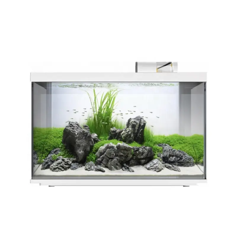 High Quality 30L Aquarium Mini Glass Fish Tank With Led Light Koi Betta Desktop Ecological Small Fish Tank