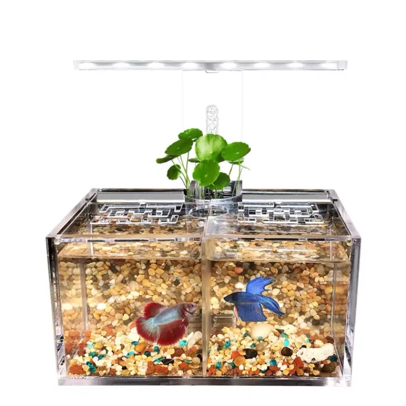 special design acrylic fish tank,new design fish tank aquarium