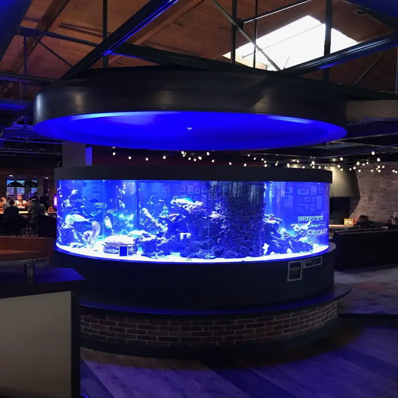 Prima Aquaponic Fish Tank Huge Fish Tank Nano Aquarium Fish Tank