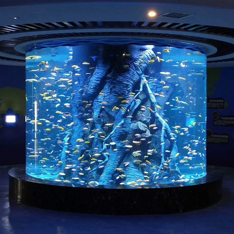 Prima Aquaponic Fish Tank Huge Fish Tank Nano Aquarium Fish Tank