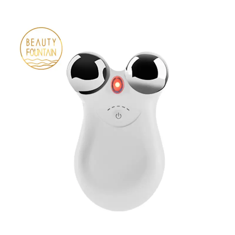 Anti Wrinkles Skin Roller Home Beauty Equipment EMS V Face Lift Massager Sculpting Microsculpt Microcurrent Facial Device