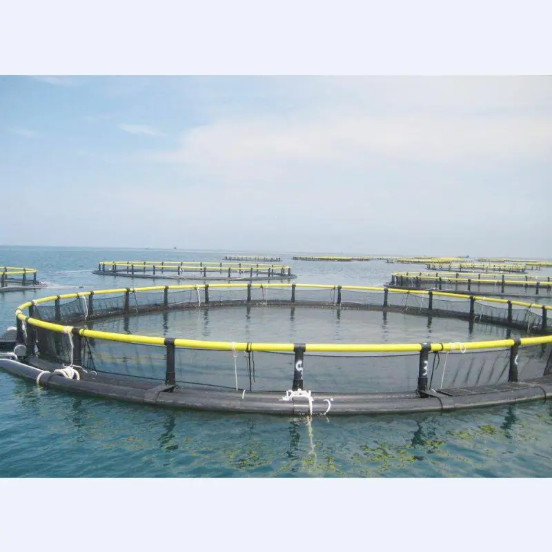 Open Deep Sea Salmon Fish Farm Cage