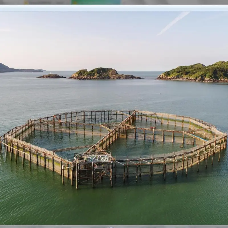 Open Deep Sea Salmon Fish Farm Cage