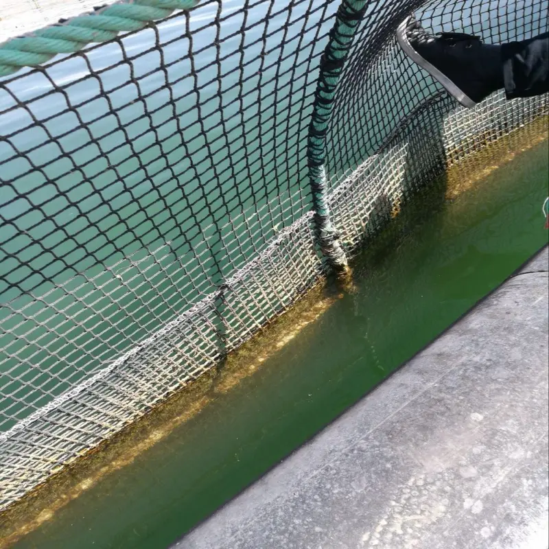 Fish Farming Cages Fish Farming Cage UV Protected China Aquaculture Tilapia Fish Farming Cages