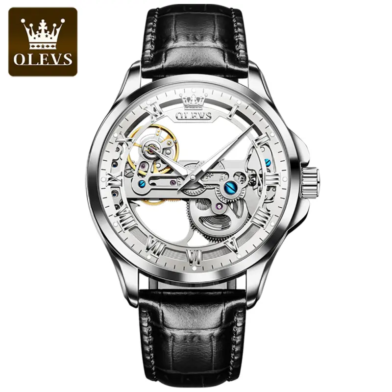 OLEVS 6661 Waterproof Luxury Tourbillon Automatic Mechanical Wrist Watch