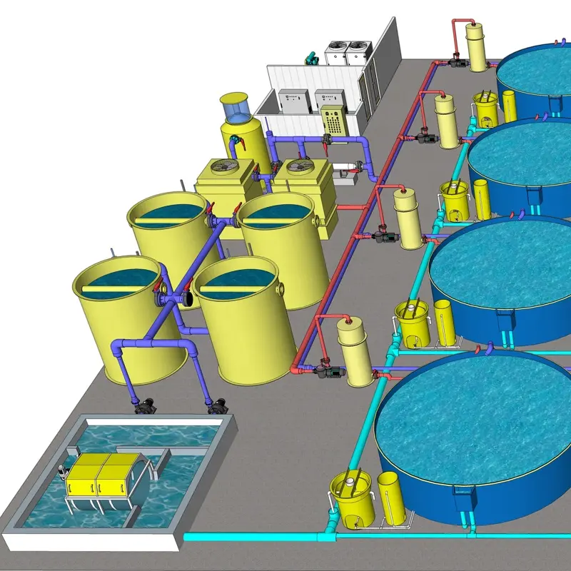 China Industrial Fish Farm Ras Fish Farming Equipment Indoor Shrimp Farming Equipment